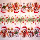HUN-231 Dogs - 3-ply - Ambiente